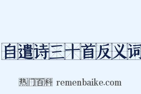 自遣诗三十首反义词是什么意思的图片